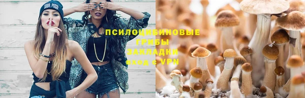 экстази Алзамай