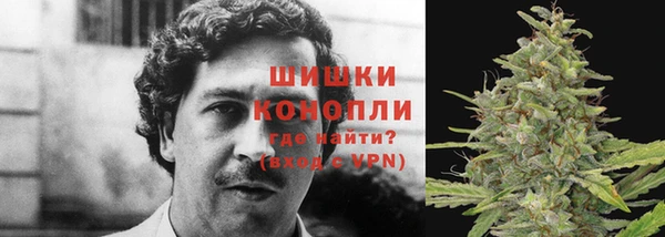 экстази Алзамай